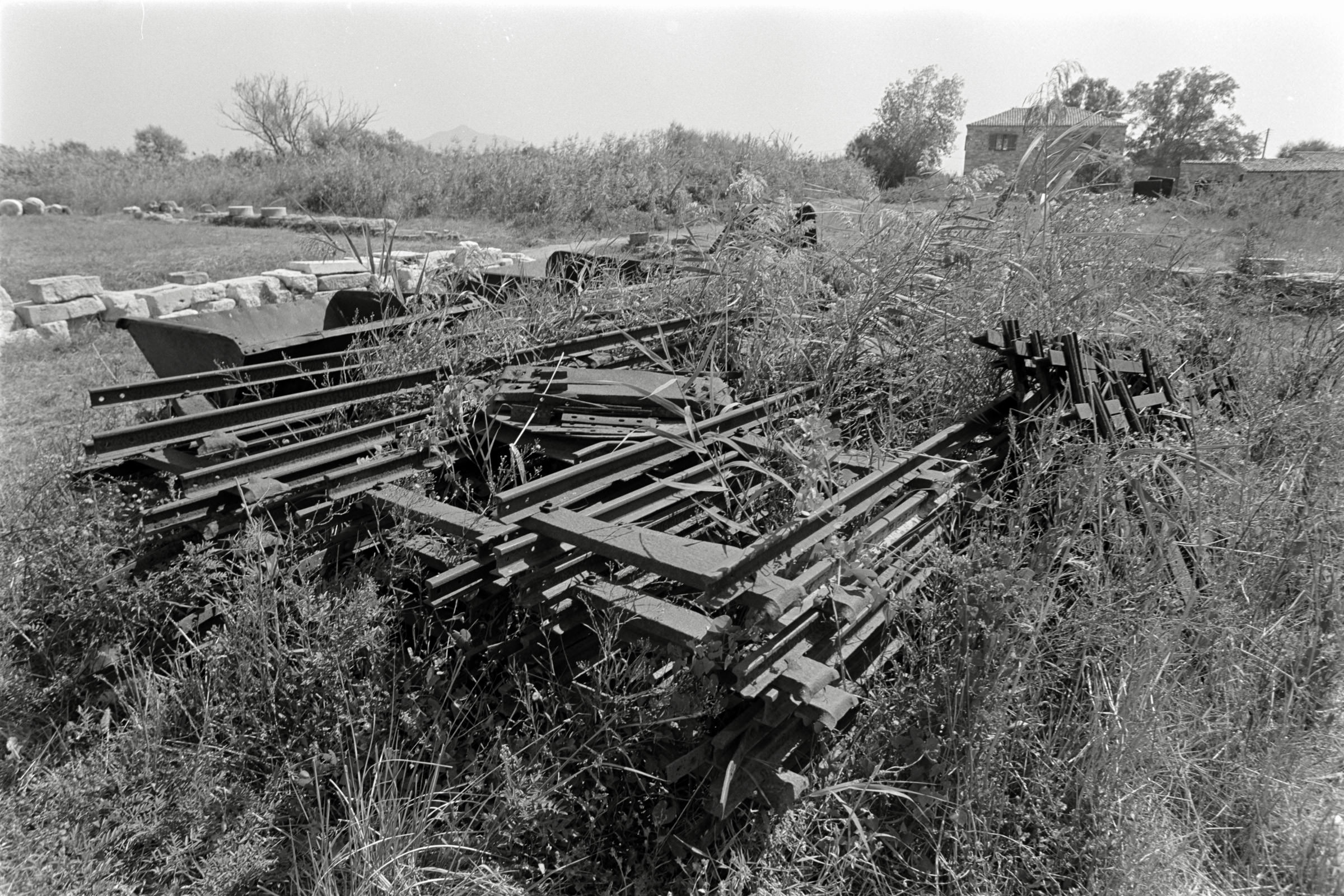 AHP F1991 09 003 sc240914 img05 NLP